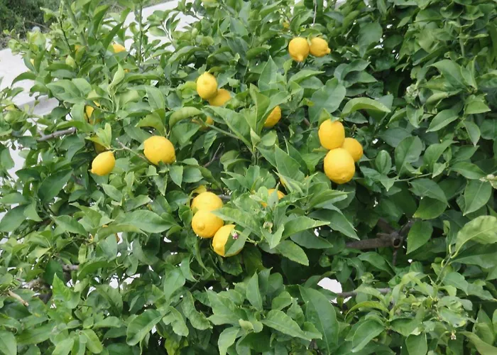 With A Parking Space Hvar - 11427 *